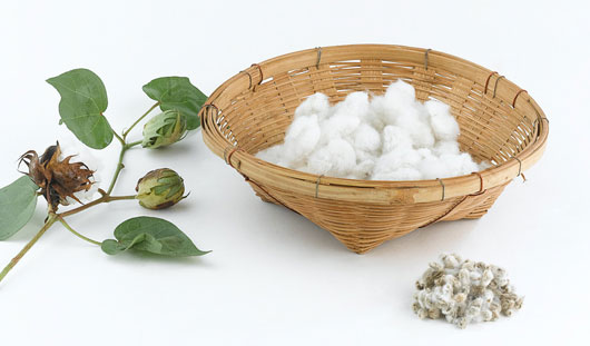 棉花“产减质降 无锡针织面料厂家华瑞产粗针绒不受阻
