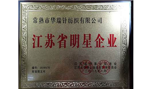 恭祝常熟市华瑞针纺织有限公司 荣获江苏省明星企业!