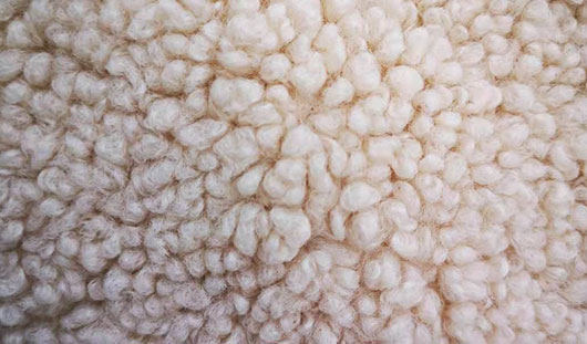 华瑞针纺织带你认识，羊毛颗粒绒是什么面料？